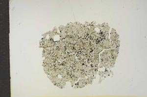 Plane Polarized, S15752
