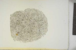 Plane Polarized, S15766