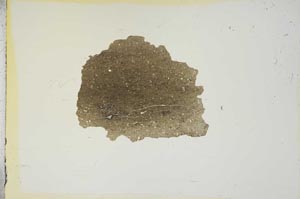 Plane Polarized, S15767