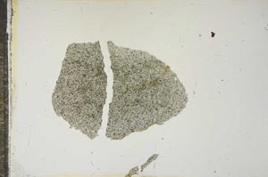 Plane Polarized, S15773