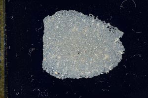 Cross Polarized, S15804