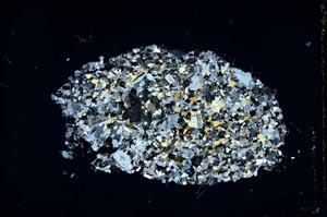 Cross Polarized, S15806