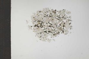 Plane Polarized, S15807