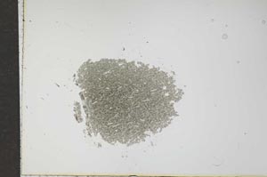 Plane Polarized, S15894