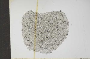 Plane Polarized, S15895