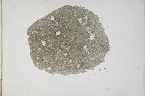 Plane Polarized, S15898