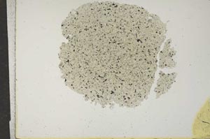 Plane Polarized, S15910