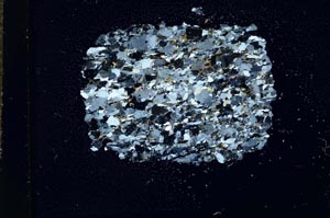 Cross Polarized, S15924