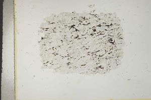 Plane Polarized, S15924