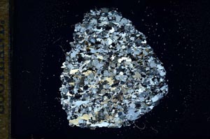 Cross Polarized, S15925