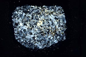 Cross Polarized, S15926