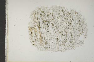 Plane Polarized, S15928