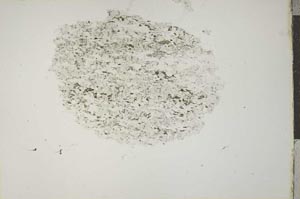 Plane Polarized, S15929