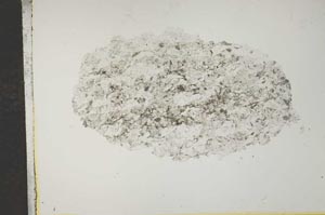 Plane Polarized, S15930