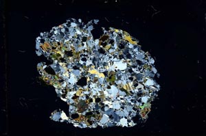 Cross Polarized, S15946