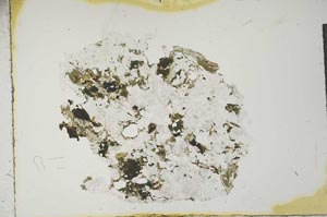 Plane Polarized, S15946