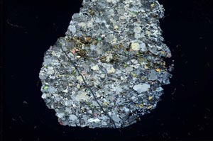 Cross Polarized, S15949