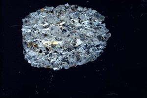 Cross Polarized, S15950