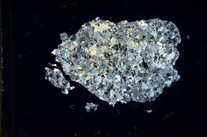 Cross Polarized, S15951