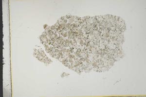 Plane Polarized, S15951