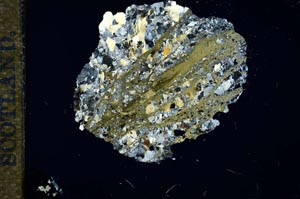 Cross Polarized, S15952