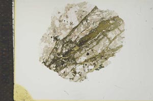 Plane Polarized, S15952