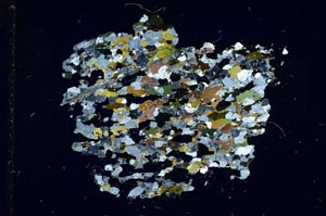 Cross Polarized, S15955