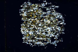 Cross Polarized, S15956