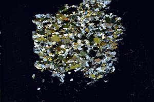 Cross Polarized, S15958