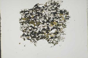 Plane Polarized, S15958