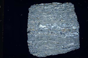 Cross Polarized, S15960