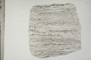 Plane Polarized, S15960