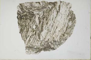 Plane Polarized, S15961