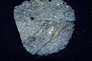 Cross Polarized, S15964