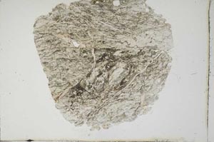 Plane Polarized, S15964