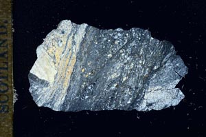 Cross Polarized, S15965