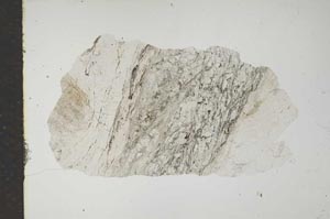 Plane Polarized, S15965