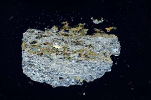 Cross Polarized, S15966/B