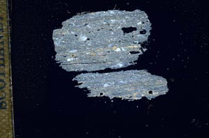 Cross Polarized, S15967