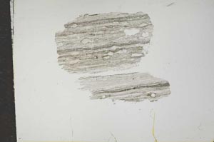 Plane Polarized, S15967