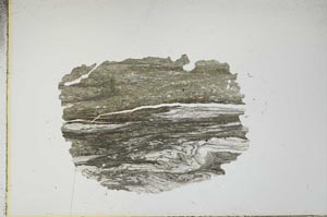 Plane Polarized, S15968