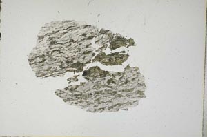 Plane Polarized, S15970