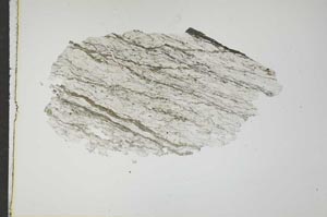 Plane Polarized, S15971