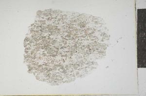 Plane Polarized, S15973