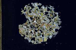 Cross Polarized, S15974