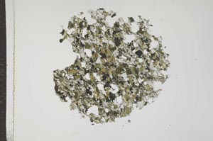 Plane Polarized, S15974