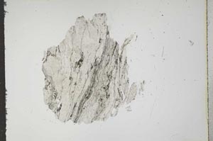 Plane Polarized, S15975