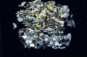 Cross Polarized, S15982