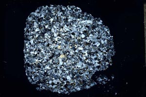 Cross Polarized, S15983