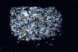 Cross Polarized, S15984